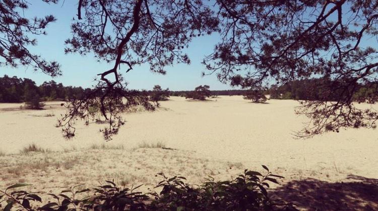 Www Huis Op De Veluwe Nl นึนชเปท ภายนอก รูปภาพ